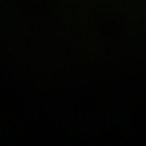 Meet your Posher, Dillan